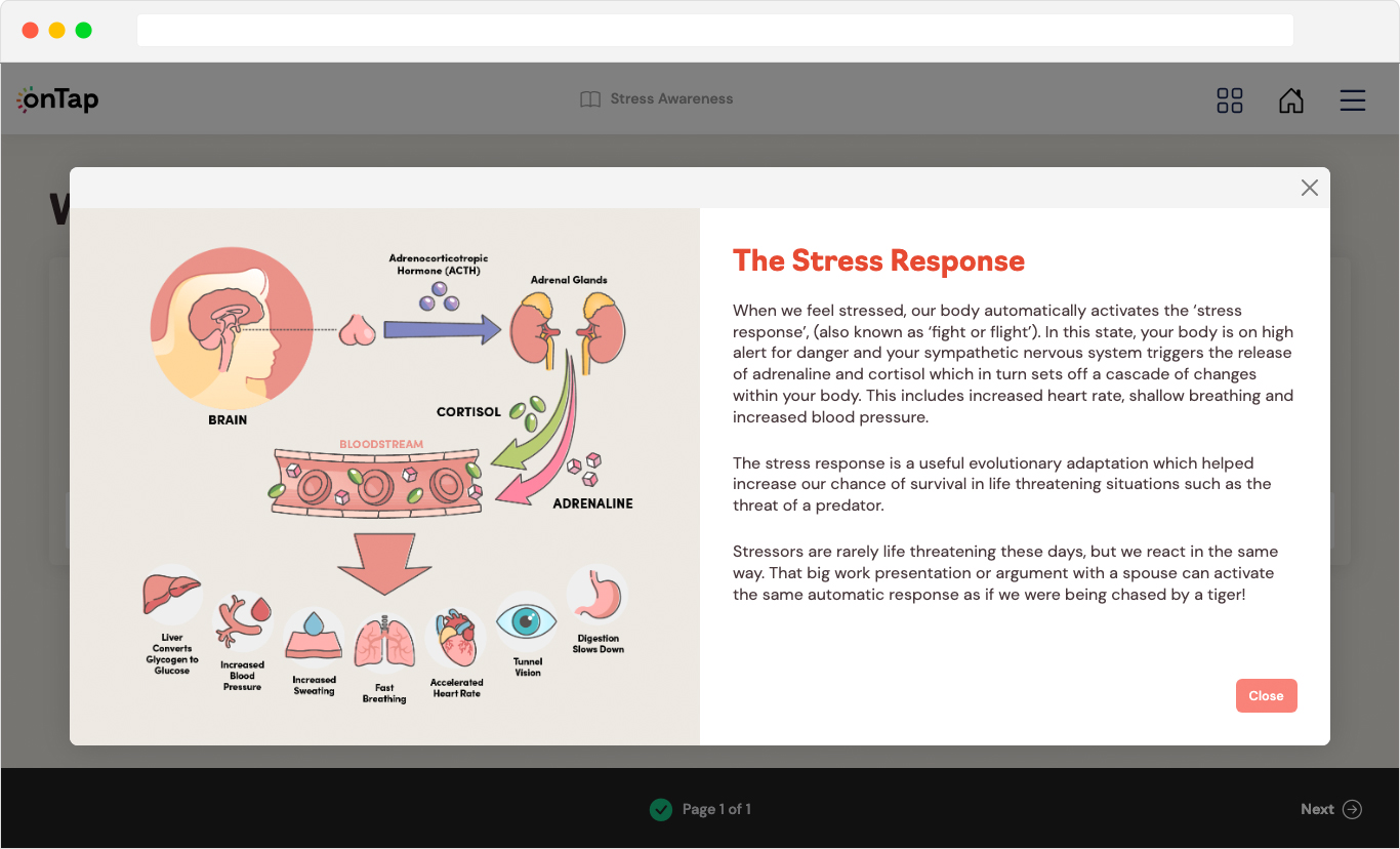 Course Page Example 3